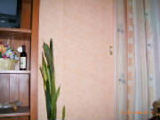 trbegehbarerschrank.jpg